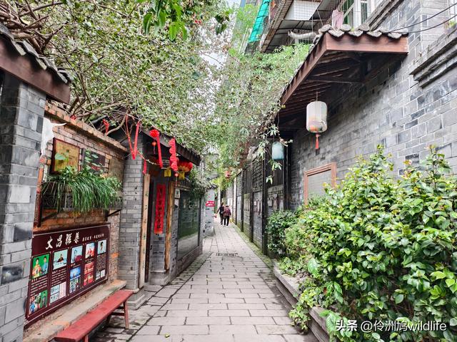 成都古镇（15）郫县唐昌古镇崇宁公园·大椿巷
