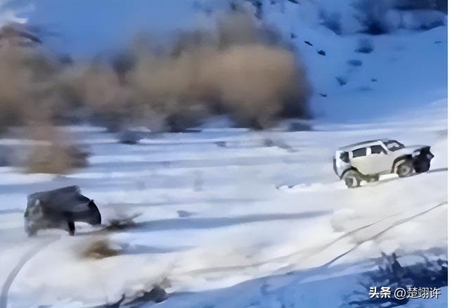 女子开车碾压草场后续：扬言撞死牧民，真实身份被扒，公司被牵连