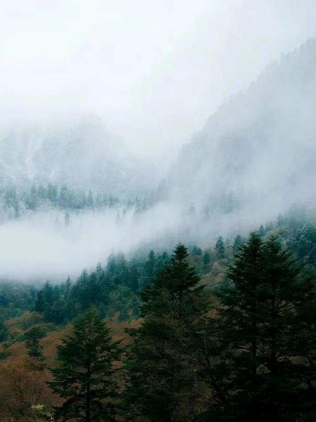一般的拼豆我不拼，但你要说剑门关的拼豆我可感兴趣了！