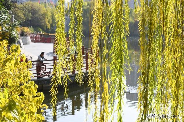 暖阳映照汉城湖 游人如织享冬趣