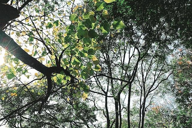 今天来到玉溪,误入龙泉胜地,古寺龙宫,泉池清澈,桃源仙境