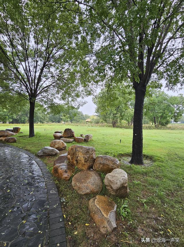雨景，风景，路景，树景，一路风景，一路顺风，一路畅通！