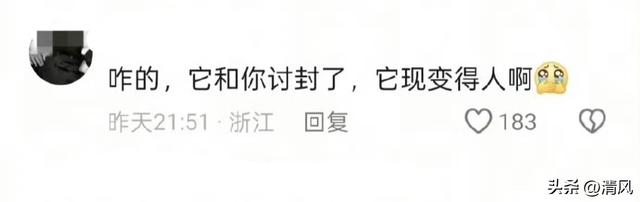 笑死！东北人拐弯抹角埋汰人的天赋极高，网友:我这辈子都想不出
