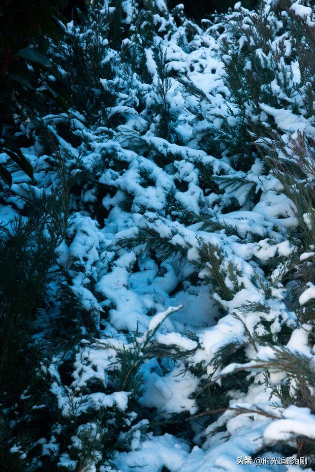 晨晓微曦的雪棱光