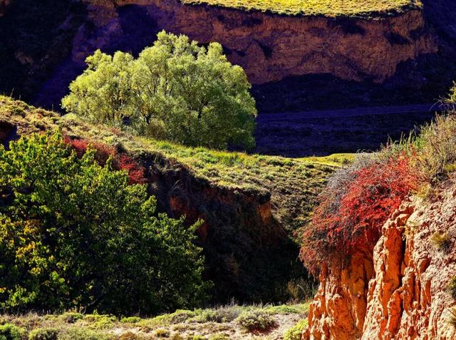 【白银文旅】冬已至秋渐远，再赏一波靖远的秋