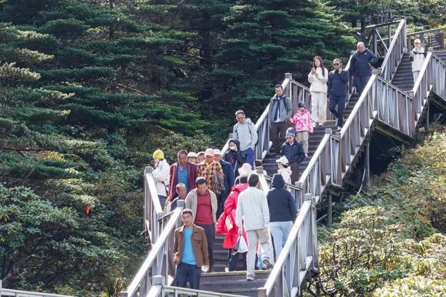 接待旅游者521.61万人次！大理文旅市场持续火热