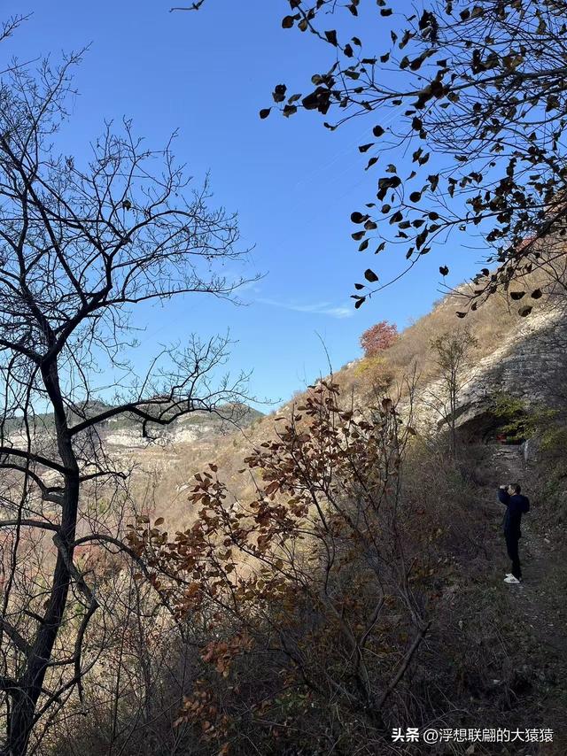 游赏过九鼎山后，我又跑到一户院里“强买”了大爷种在路边的白菜