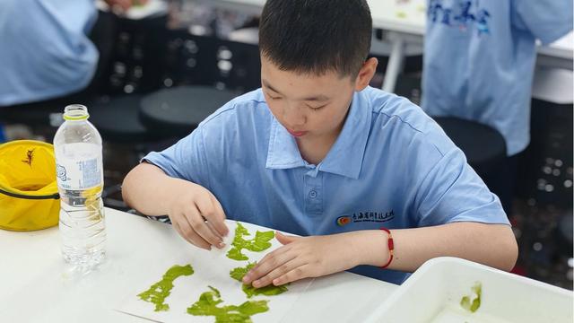 省科技馆“科普引擎蔚蓝寻踪”主题研学活动圆满落幕