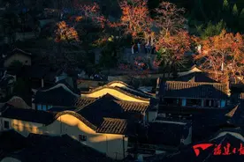 这个冬天，福建哪儿最美？图片