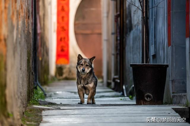 为什么我们村嫁进来的一位妇女很爱自己的男人，结局却很可怜