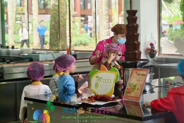 春节游万宁兴隆｜解锁热带归侨的暖冬年味！