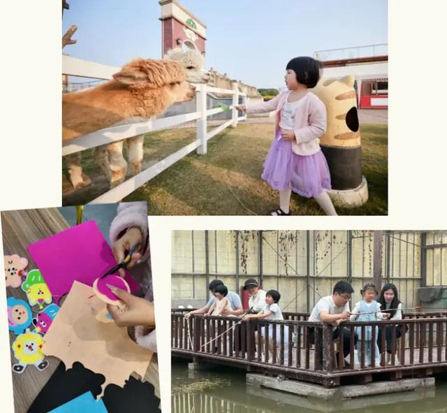 国庆到上海金山山阳田园逛美食市集、亲子体验、畅听果蔬音乐汇!