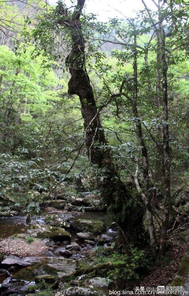 水口景区小记（江西之旅第八十八篇）