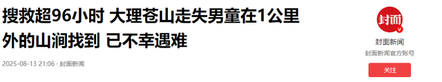 失踪自闭儿遗体已找到，救援队曝光死因，生前饱受痛苦，官方通报