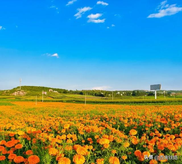 逃离高温！动车直达22℃清凉之都，比六盘水凉快！