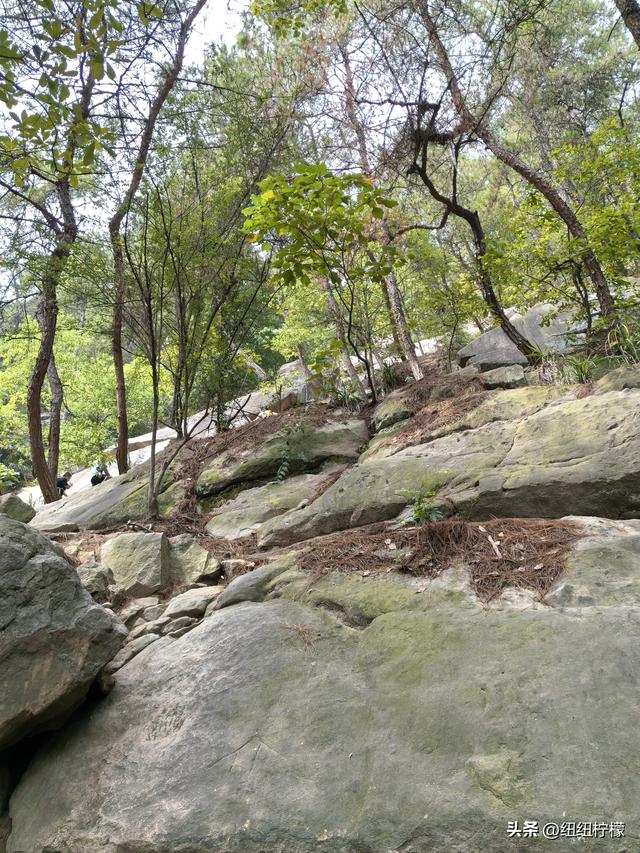 爬山，要量力而行，安全第一，爬歌乐山911更需如此