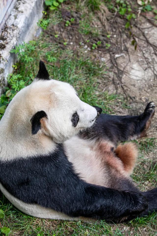 来汉中,寻找属于薄雾山色中的诗意初秋!
