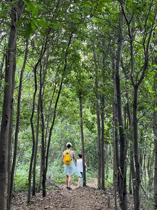 长沙5条亲子徒步“小秘境”路线，带娃坚持每周一山→