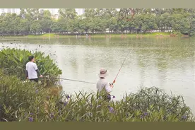 【深圳特区报】深圳市公园部分区域可以钓鱼了 记者走访垂钓区，发现管理更规范图片