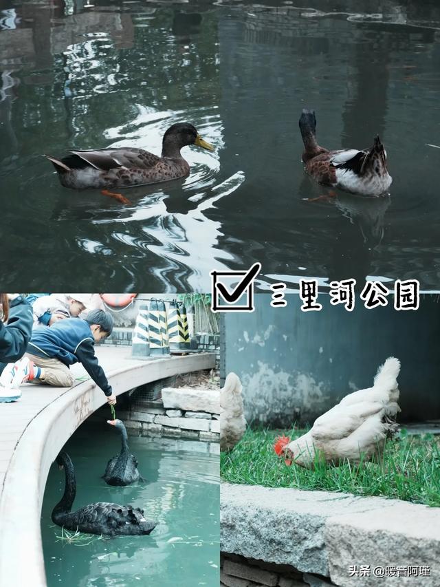 天坛北到草厂,一头钻进北京城的“时光褶皱”里