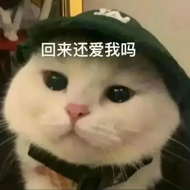 Share｜沙雕表情包11.02