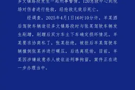 海南临高县发生一起刑事警情，当地警方通报图片