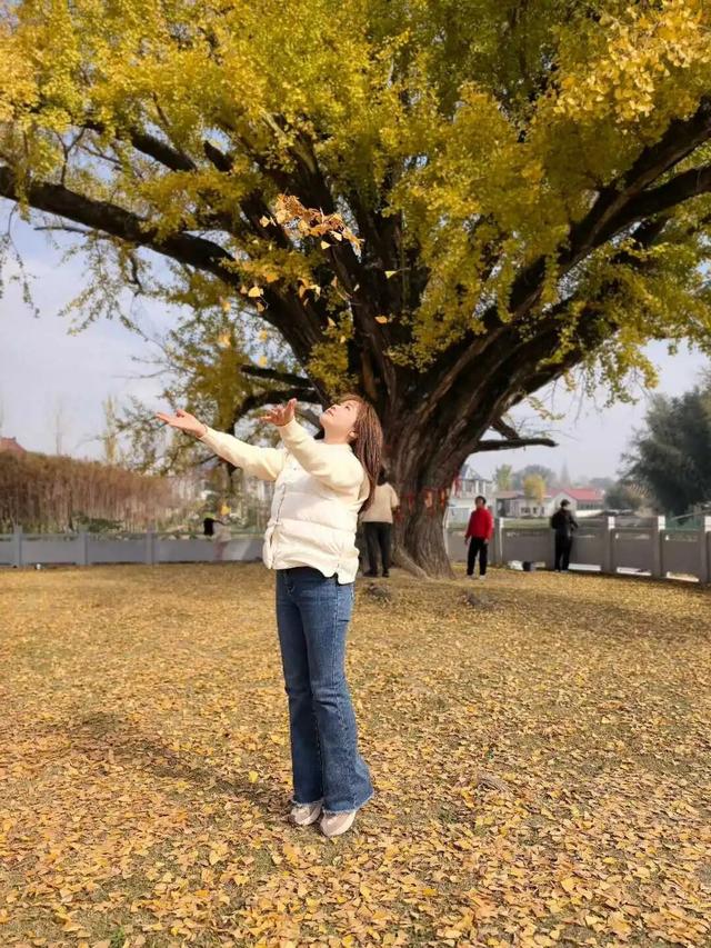 快来如皋打卡，错过就要等一年了🤩🤩🤩