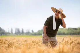 你听说了吗？农民也分三六九等？揭秘新时代农民的真实身份！图片