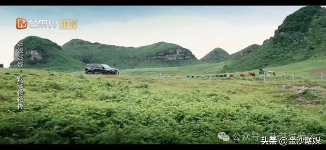 骑马、露营、看花海……这才是正确的打卡方式→