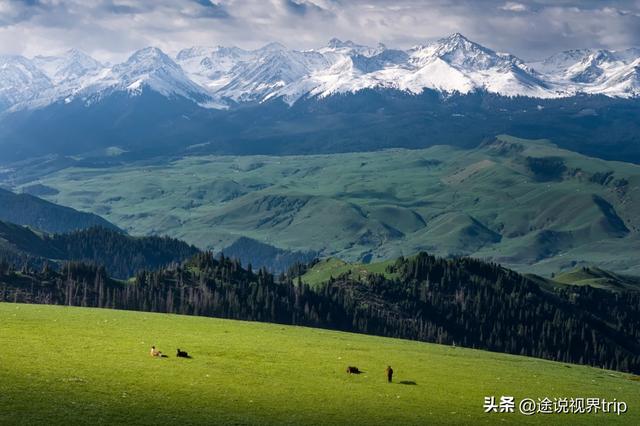 伊犁：中国西北的人间仙境，800公里风景长廊，藏着世间所有美好