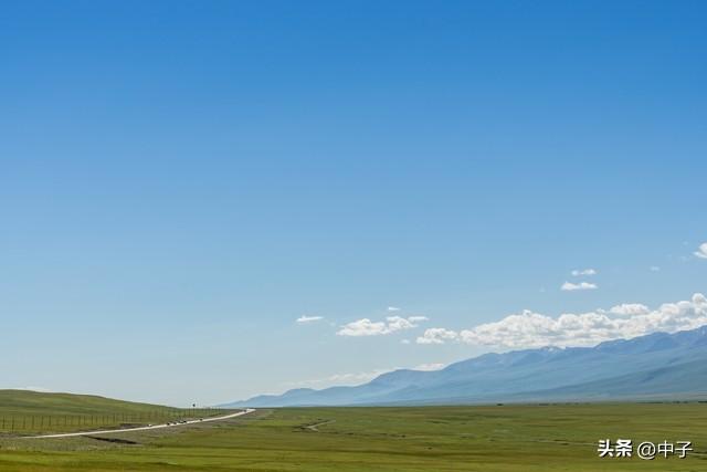 狼啸草原，四季如画：新疆的秘境与跨物种的生命传奇