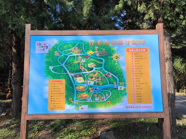 天下银杏第一树就在日照浮来山，4000年古树参天，秋天美成了画！