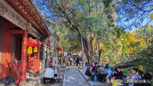 泰安：它是一个藏在泰山群峰间的免费景点，能赏银杏登天梯品清茶