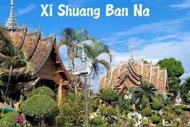 最全西双版纳旅行攻略，再也不用担心被宰客，这份攻略真实用图片