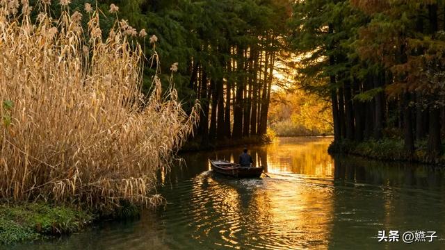 杭州城东：从“偏远边缘”到“价值高地”的逆袭之路