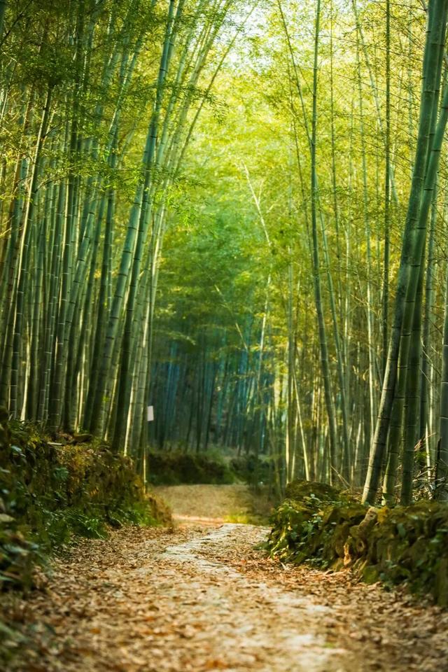 进化藏了个神仙徒步地，出片率极高！