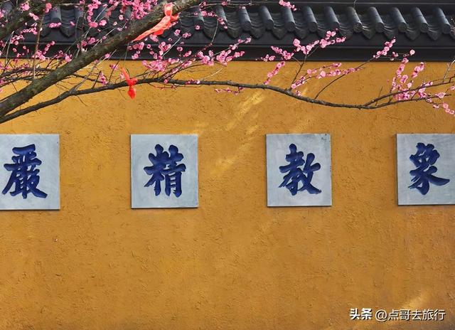 成都赏梅花的寺庙，你该去哪个？青砖红墙，一派梅花盛景，免费！