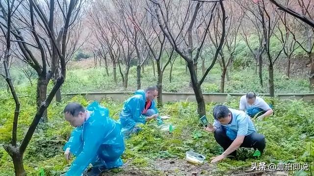 野外仅存600多只！浙江4人徒手抓26只，价值10多万