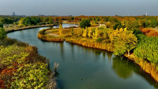 谁说初冬只有萧瑟?来太白湖新区解锁绚烂生机打卡地
