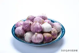 独头蒜是怎么种出来的？手把手教你种植方法，花钱也学不到的窍门图片