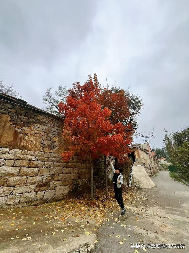 左家峪：莱芜和庄大山里深藏的一座美妙山村