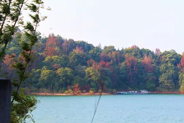 广东哪里赏秋？四条绝美自驾路线遇见南国红叶黄叶