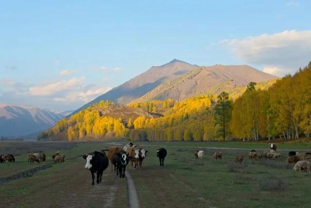 禾木：大自然最深情的画卷