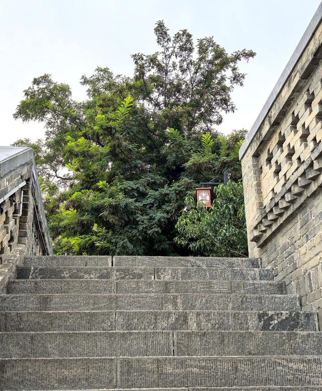 西园·忻州·山西