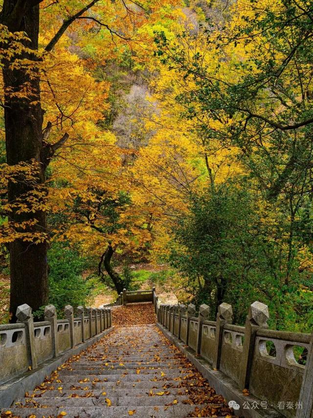 镜瞰秦州·悦秋