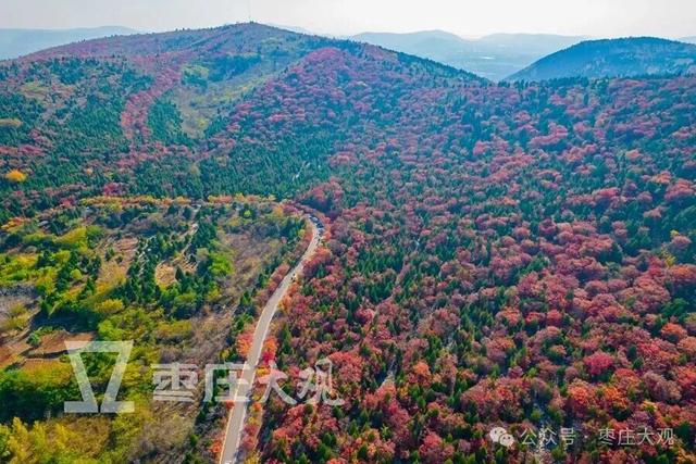 实拍枣庄牛郎山进入红叶观赏期！