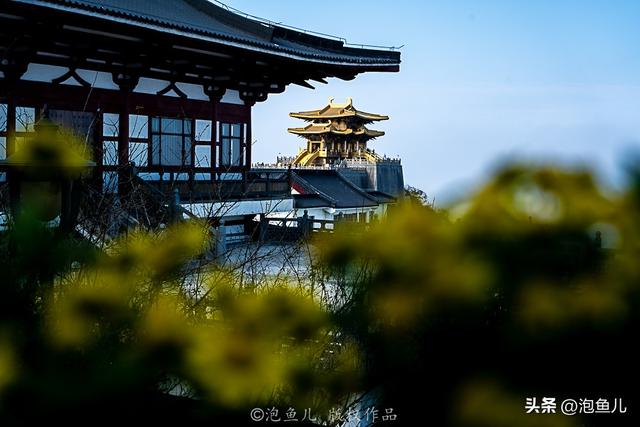 一份攻略解锁礼乐随州｜从编钟之乡到炎帝故里，叩问「何以中国」