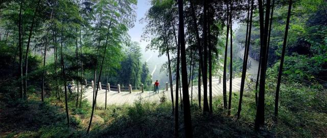 萧山人为什么总往村里跑！