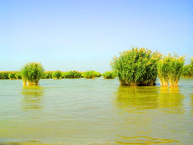 宁夏旅游：从沙漠绿洲到贺兰山岩画揽胜（图）