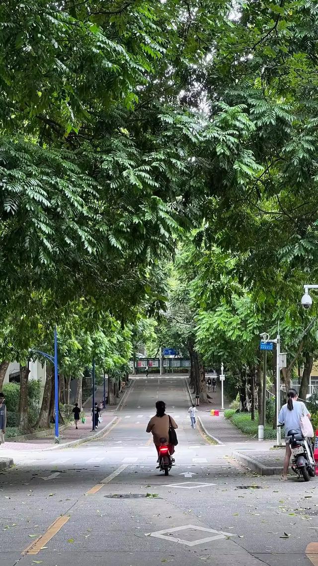 又来广东之十九 广东篇之七 暨南大学（1）